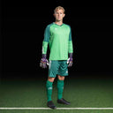 select-goalkeeper-shirt-monaco-v24-600102 - green/green