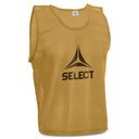 select-bib-basic-big-select-logo-640009 - blue