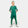 Select Player shirt S/S Pisa