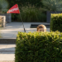BERG Safety Flag Buzzy Reppy