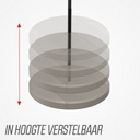 BERG Disc swing