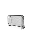 BERG SportsGoal S