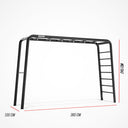 BERG PlayBase Large