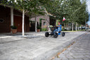 BERG Reppy Roadster