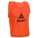 select-bib-basic-big-select-logo-640009 - blue